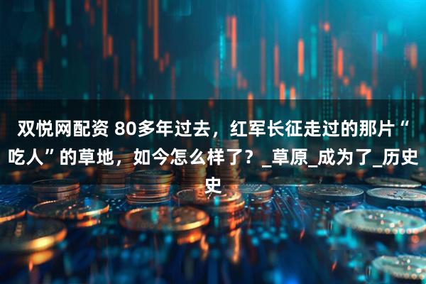 双悦网配资 80多年过去，红军长征走过的那片“吃人”的草地，如今怎么样了？_草原_成为了_历史