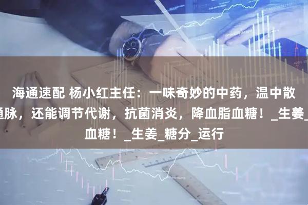 海通速配 杨小红主任：一味奇妙的中药，温中散寒、回阳通脉，还能调节代谢，抗菌消炎，降血脂血糖！_生姜_糖分_运行