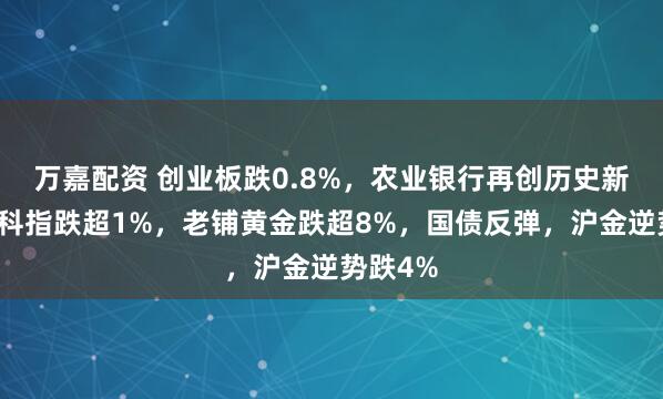 万嘉配资 创业板跌0.8%，农业银行再创历史新高，恒科指跌超1%，老铺黄金跌超8%，国债反弹，沪金逆势跌4%
