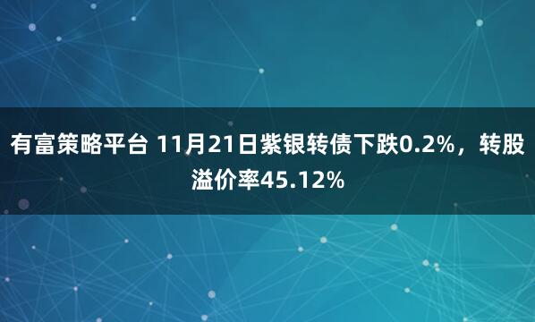 有富策略平台 11月21日紫银转债下跌0.2%，转股溢价率45.12%